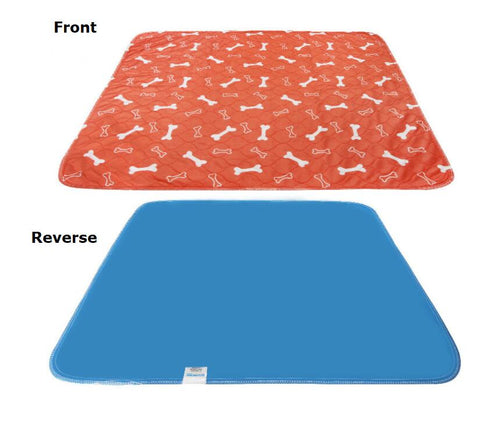 Puppy Pads vs. Going Outside: What Actually Works