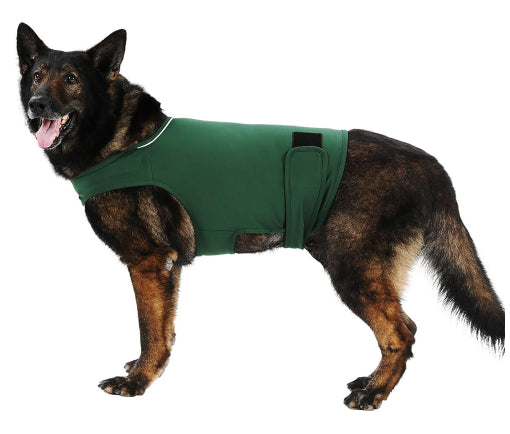 Does a Pressure Vest Actually Calm an Anxious Dog? Here's the Science