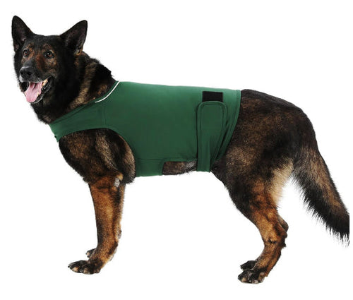 Does a Pressure Vest Actually Calm an Anxious Dog? Here's the Science