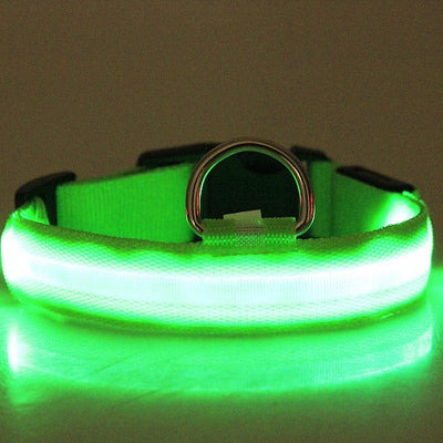 LED Light-Up Dog Collar - Rechargeable Glow Collar for Night Walks