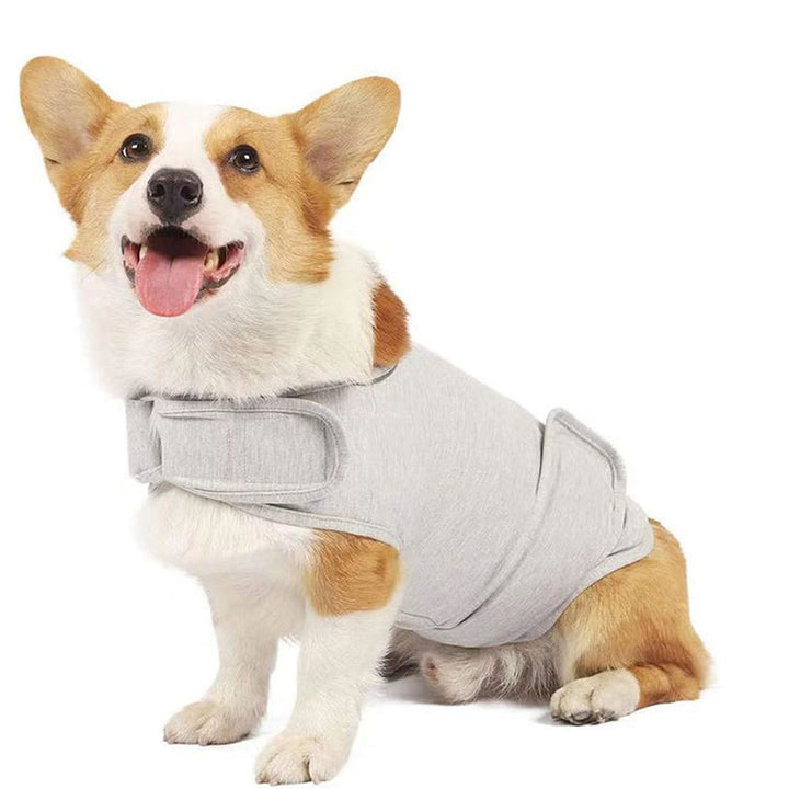 Calming Pressure Vest for Dogs - Anxiety & Stress Relief…
