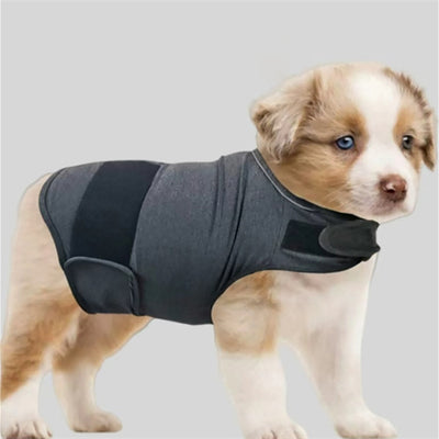 Calming Pressure Vest for Dogs - Anxiety & Stress Relief Wrap