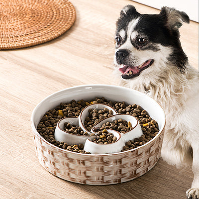 Ceramic Anti-Choking Slow Feeder Dog Bowl - Non-Slip Puzzle Bowl